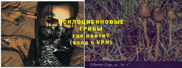 mdpv Арсеньев