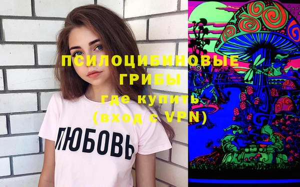 мдпв Армянск