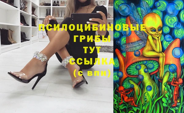 мдпв Армянск